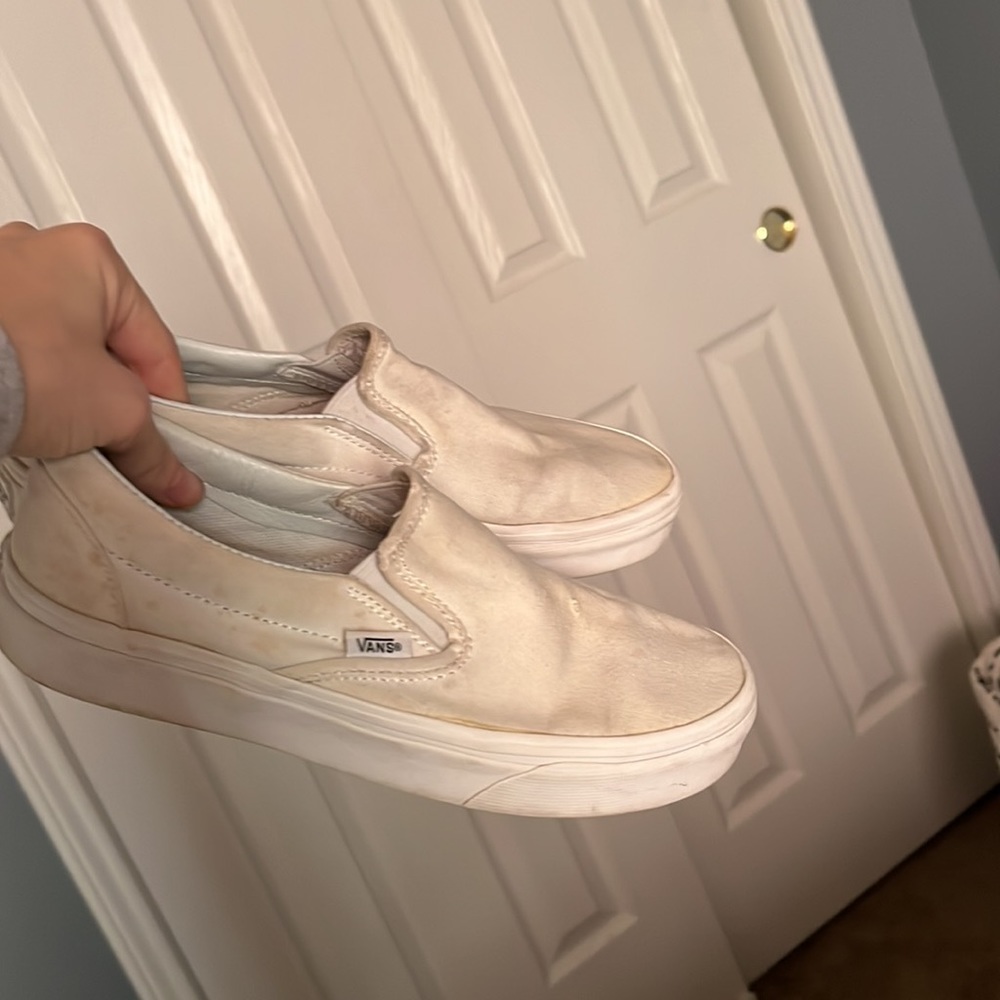 Vans - Picture 7 of 7